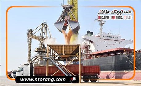 محموله ذرت بخش خصوصی برای تأمین نهاده‌های دامی وارد مرحله بارگیری شد